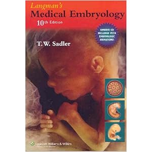 langman embryology