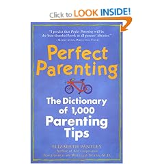 Perfect Parenting: The Dictionary of 1,000 Parenting Tips (Pantley)