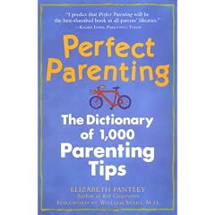 Perfect Parenting: The Dictionary of 1,000 Parenting Tips