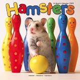 Eigenschaften Avonside Publishing Ltd.  / Kalender 2009 Hamster - Hamsters - Goldhamster