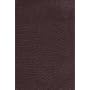 Compact Gift Bible-NRSV
