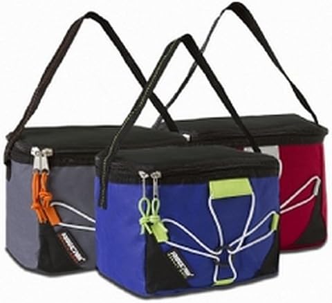 Lunch Bag / Fridge Pak Can Cooler (Grey) Special Sale Price