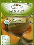 Burpee 60168 Organic Cantaloupe Hearts of Gold Seed Packet