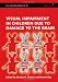 Visual Impairment in Children due to Damage to the Brain (Clinics in Developmental Medicine)