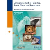 Leitsymptome bei Hamster, Ratte, Maus und Rennmaus: Diagnostischer Leitfaden und Therapievon "Anja Ewringmann"