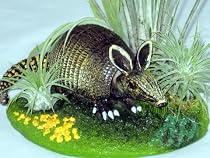 Armadillo Nature Scene -Tillandsia/Airplant-Home/Office