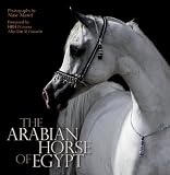 The Arabian Horse of Egypt