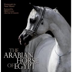 The Arabian Horse of Egypt