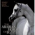 The Arabian Horse of Egypt