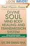 Divine Soul Mind Body Healing and Transmission System Special Edition: The Divine Way to Heal You, Humanity, Mother Earth, and All Universes