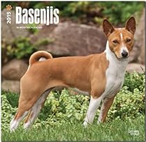Basenjis 2015 Square 12x12 (Multilingual Edition)