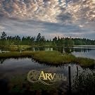 Arv