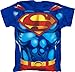 Search : Superman Muscle Men's Royal Blue T-Shirt Tee