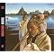 get a comprehensive overview of 70s jazz-funk-rock fusion