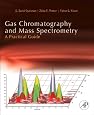 Gas Chromatography and Mass Spectrometry: A Practical Guide, Second Edition