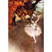 Edgar Germain Hilaire Degas (The Prima Ballerina) Art Poster Print - 11x17