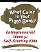 What Color Is Your Piggy Bank? Entrepreneurial Ideas for Self-Starting Kids (Millennium Generation Series)
