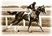 Forgotten At the Finish Line (Profiles Contributions Made By African American Jockeys to the Horse Racing Industry)