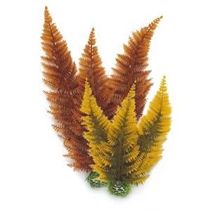 aquarium plants