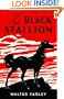 The Black Stallion