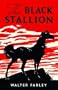 The Black Stallion