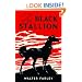 The Black Stallion