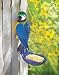 BLUE PARROT MECAW TROPICAL BIRDFEEDER BIRD SEED FEEDER
