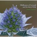 Wildflowers of Cornwall and the Isles of Scilly (Pocket Cornwall)