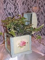 4.5" Variegated Ivy in Green Victorian Box