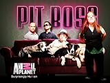 play video on Amazon Instant Video