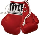TITLE 5 Mini Boxing Gloves