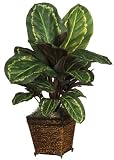 Maranta w / Wicker Vase Silk Plant - B001RIM3YA
