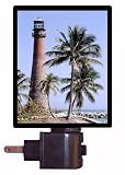 Cape Florida Light Light - Biscayne Lighthouse