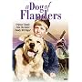 A Dog of Flanders