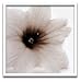 �s�t�H�g�t���[���tjk driggs�@Blossom[Three]�i�u���b�T��3�j