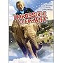 The Impossible Elephant
