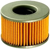 Fram CH6007 Motorcycle Oil Filter
