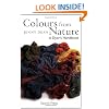 Colours from Nature: A Dyer's Handbook