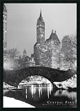 Central Park Framed Posterz by unknown artist,25.7 x 37.7 Framed