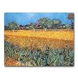 Arles les Irises - 5" x 7" Museum Quality Greeting Card