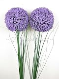 from GT Decorations 2x - 23 Silk Artificial Flowers Allium / Flowering Onion Stems (Lilac) from GT Decorations