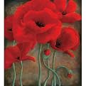 Flirtatious Poppies II Canvas Wall Art - 22x28"