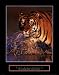 Excellence: Bengal Tiger Motivational Art Poster Print by Stuart Westmoreland, 22x28