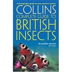 Collins Complete Guide - British Insects: A photographic guide to every common species