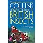British Insects: A Photographic Guide to Every Common Species (Collins Complete Guide)