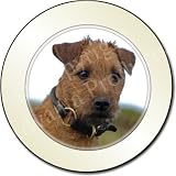 NEW-LAKELAND TERRIER DOG Tax Disc Holder