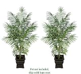 TWO 8' Artificial Tropical Areca Palm Trees