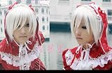 Cosplayland C485 - 30cm straight DGM Allen Bleach Gin Snow White Wig