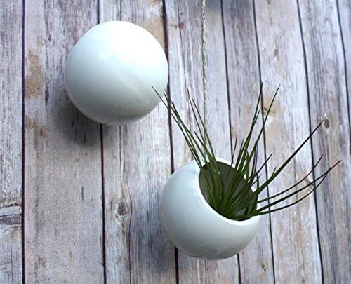 Hanging Planter - Handmade Ceramic Planter for Tillandsia / Air Plants. Round White Planter, Orb Shape