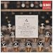 Elgar: Enigma Variations